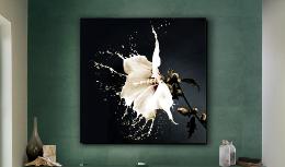 Cuadro cristal SPLASH - Schuller 100X100 cm